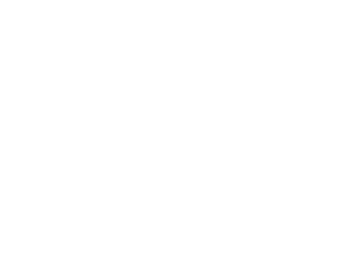 Disco Staff